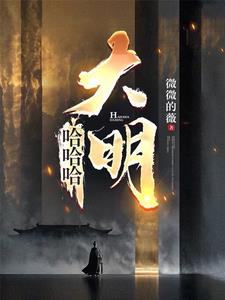 哈哈哈大明